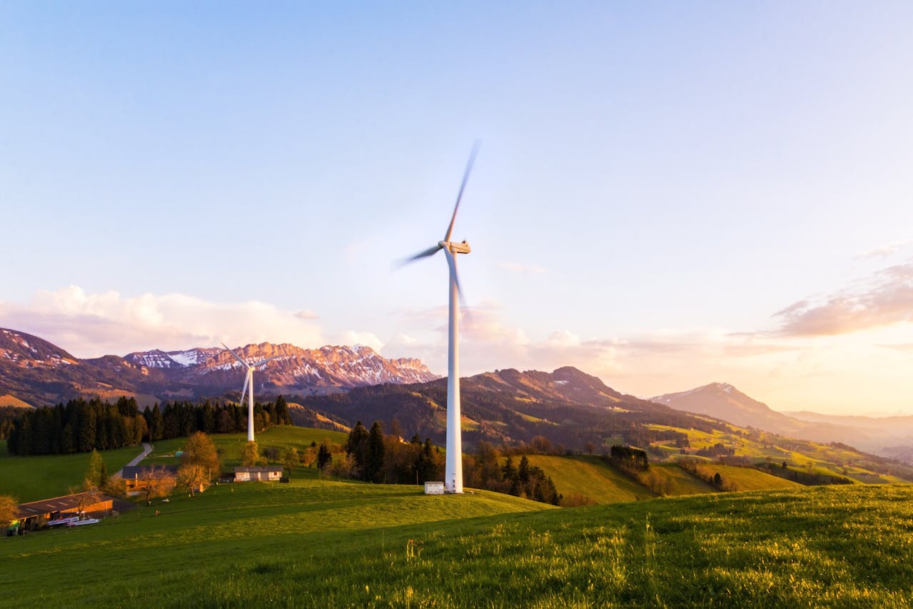 Differences Between Renewable and Non-Renewable Energy Sources